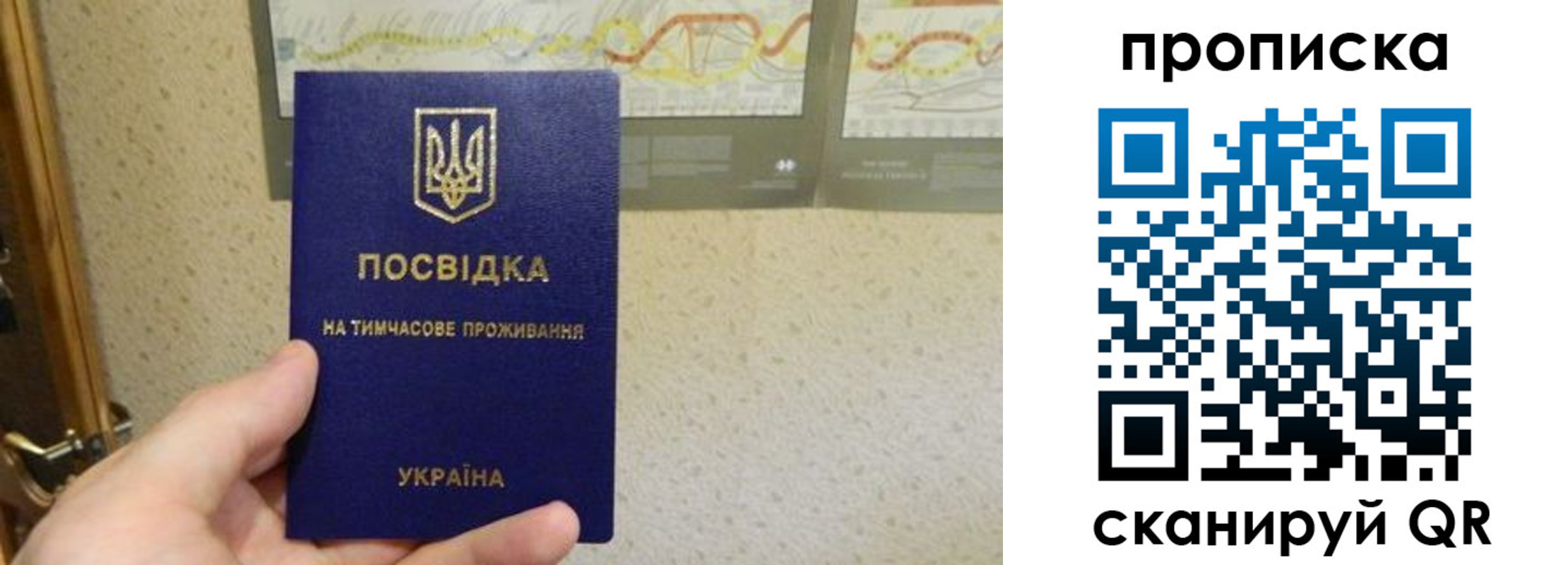 прописка в квартире в Армавире